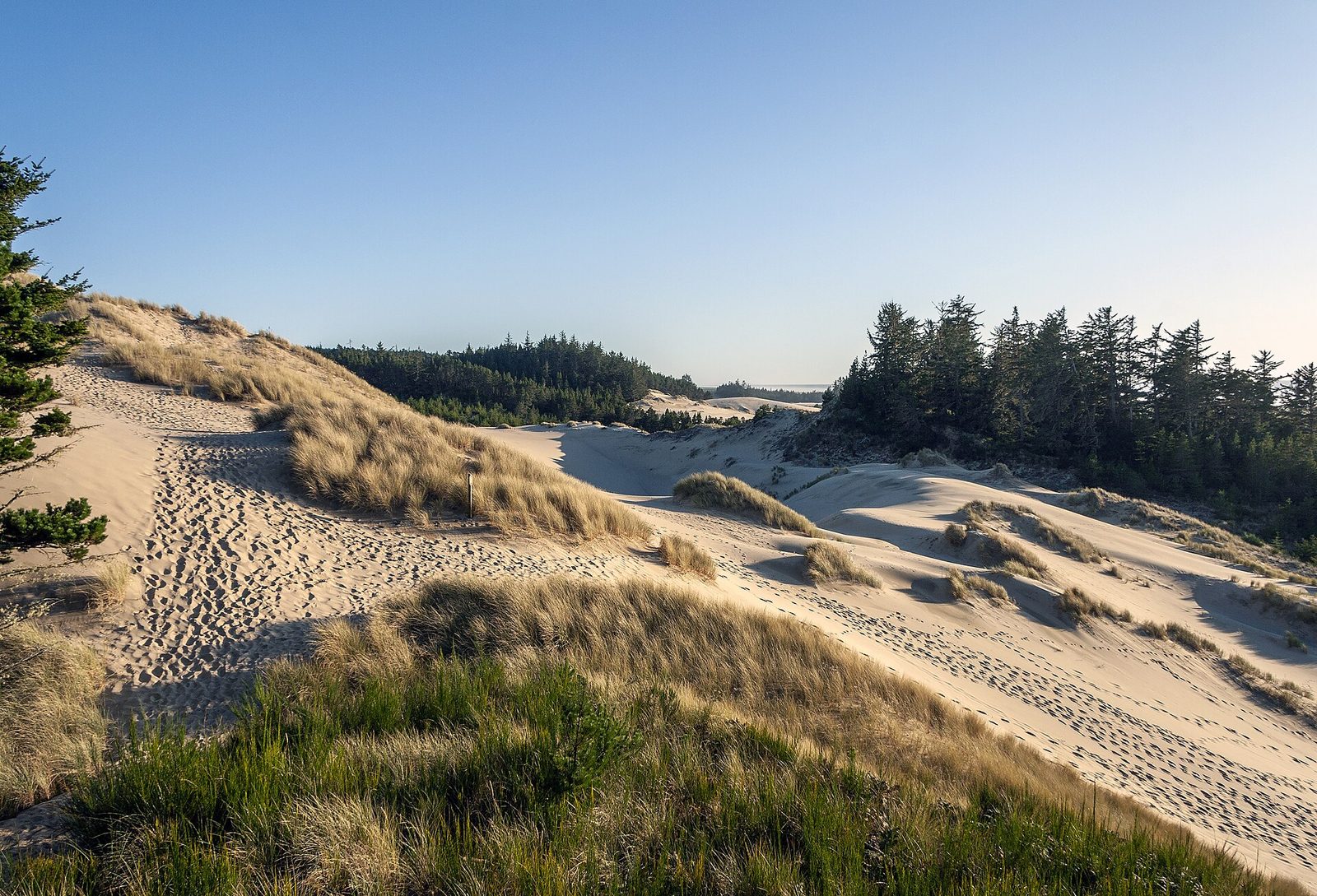 the Oregon Dunes in Dunes City, Oregon