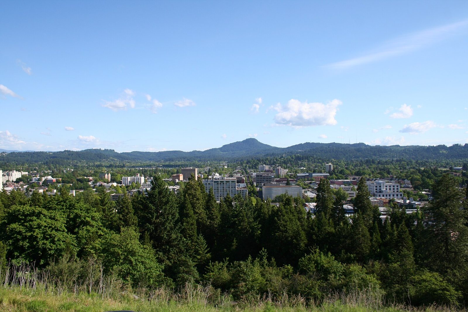 the downtown skyline from Skinner Butte in Eugene, Oregon