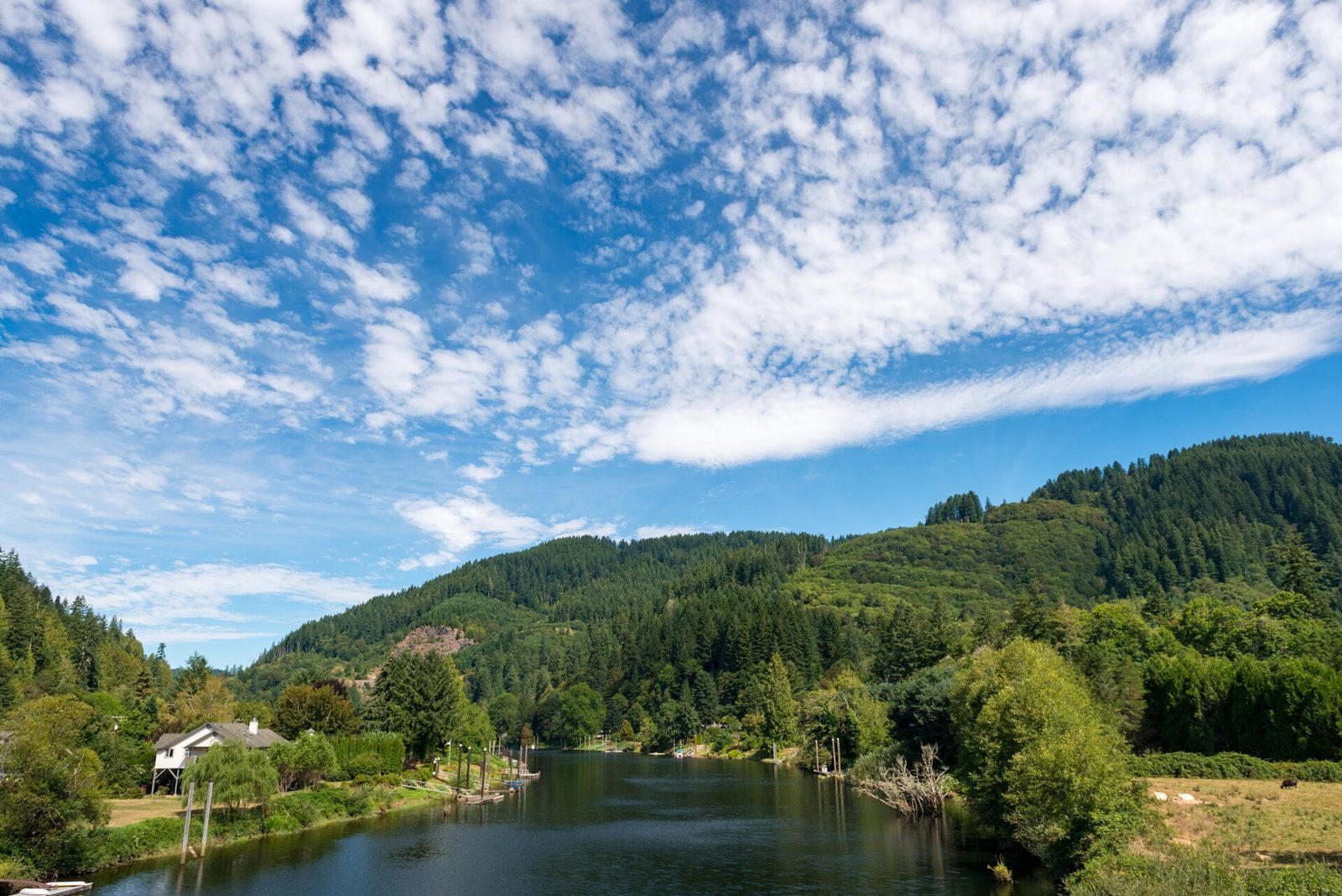 the Siuslaw River in Mapleton, Oregon