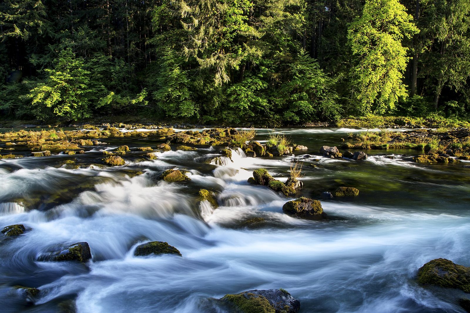 the North Umpqua River in Roseburg, Oregon